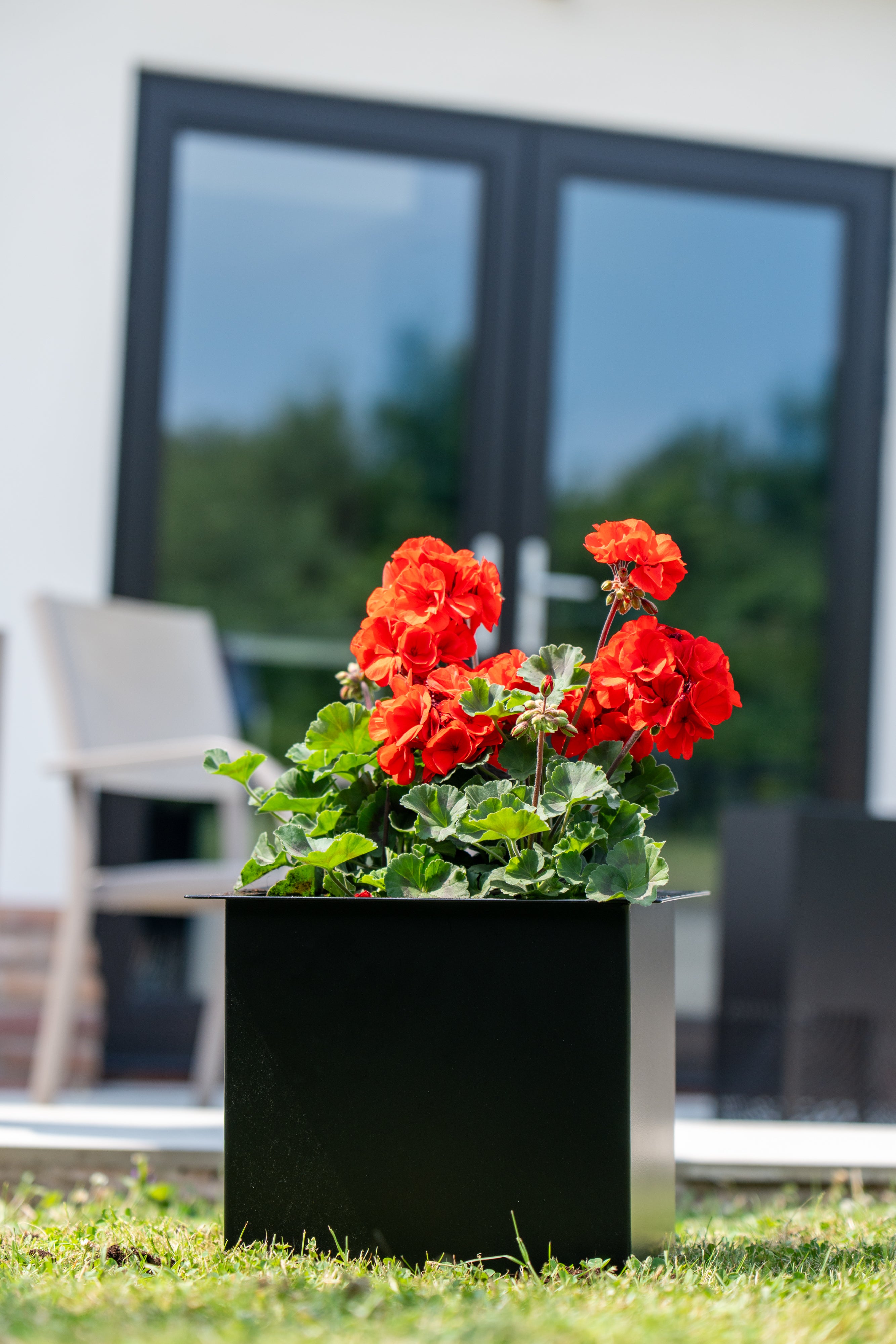 Obsidian Orbit Planter