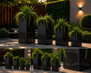 Obsidian Orbit Planter