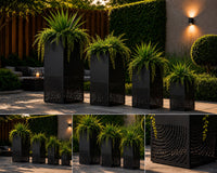 Obsidian Orbit Planter